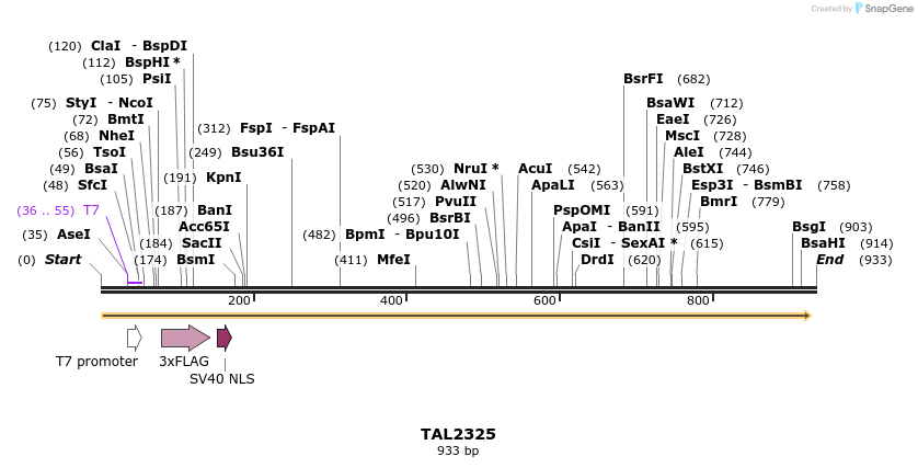 48019_map