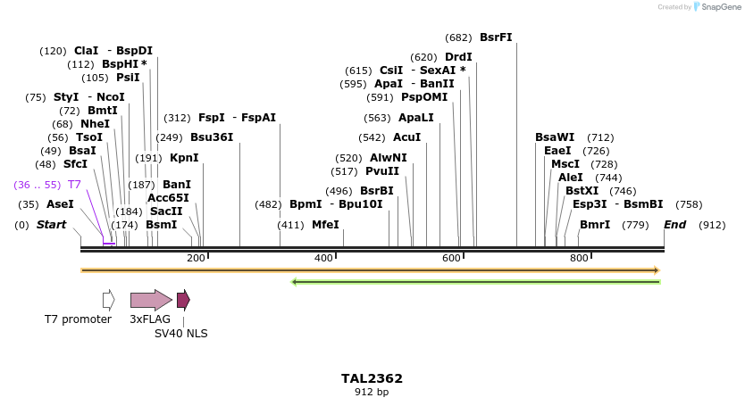 48020_map