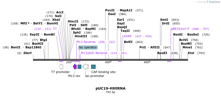 48024_map