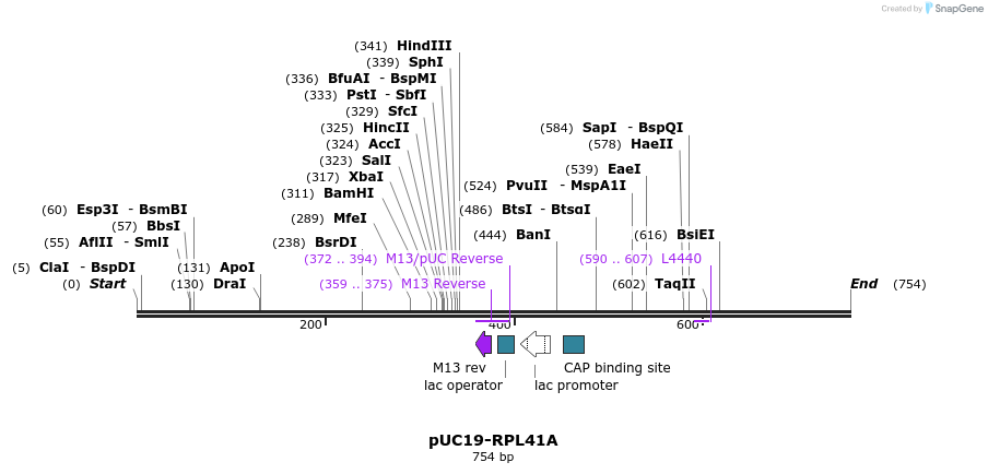 48025_map