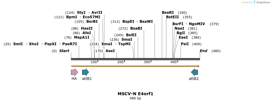 48027_map