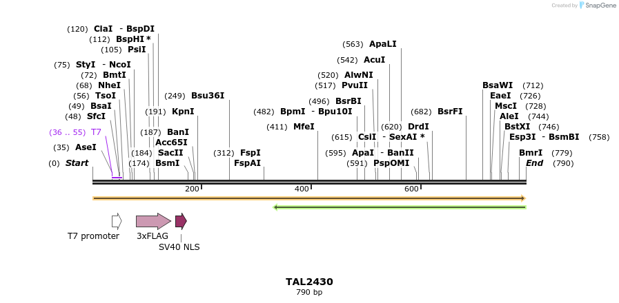 48028_map