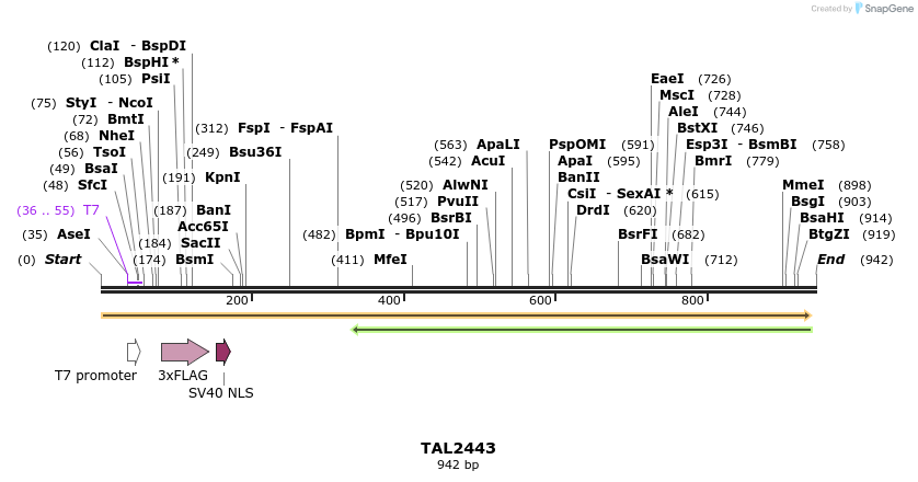 48033_map