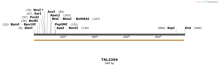 48040_map