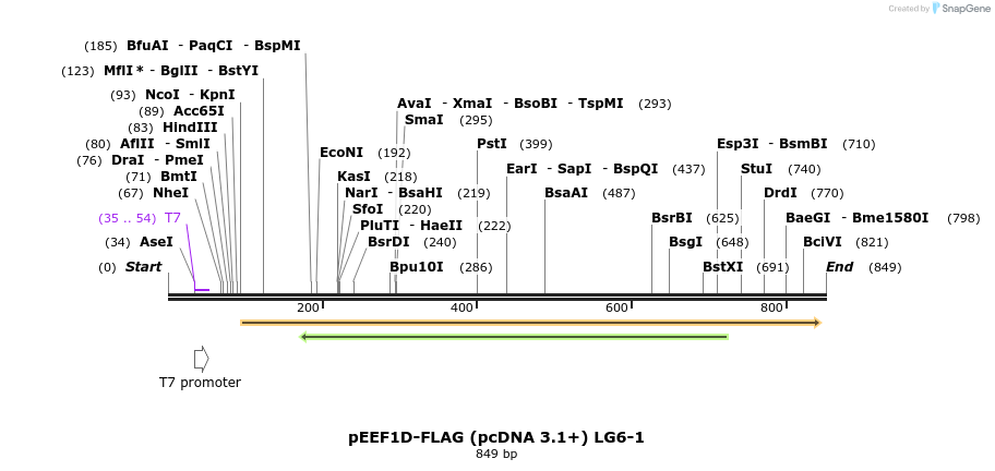 48045_map