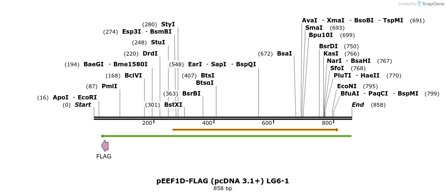 48047_map