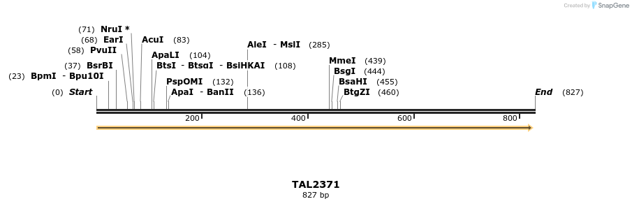 48052_map
