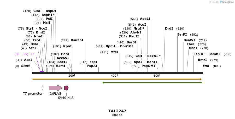 48053_map
