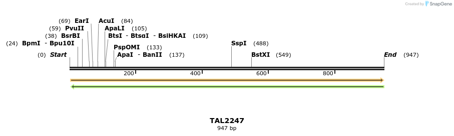 48055_map