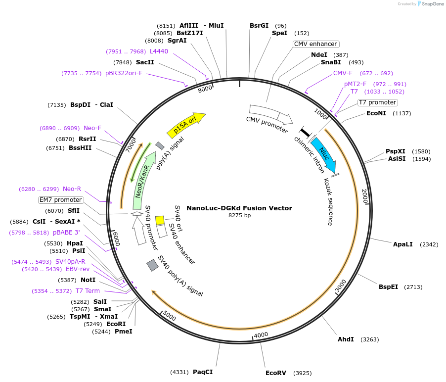 480609_map