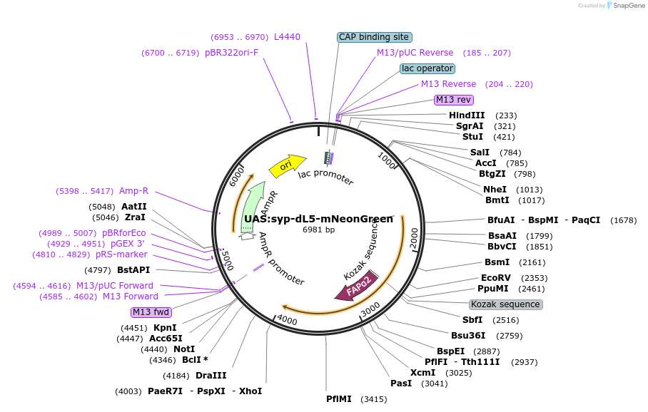 480610_map