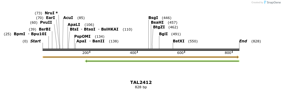 48064_map