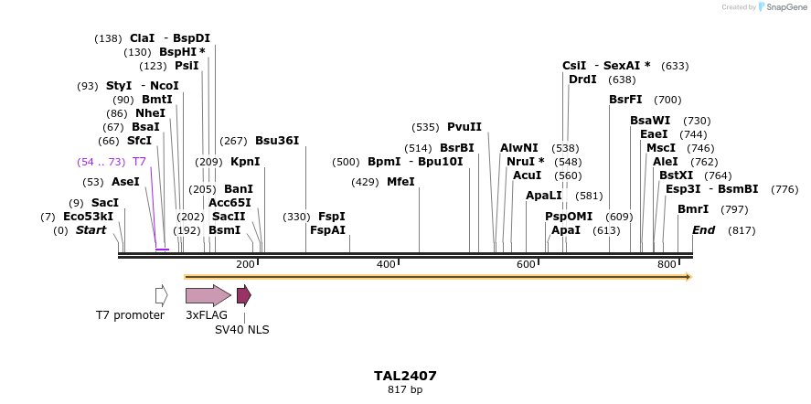 48065_map
