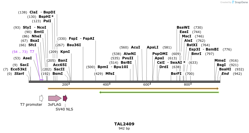 48067_map