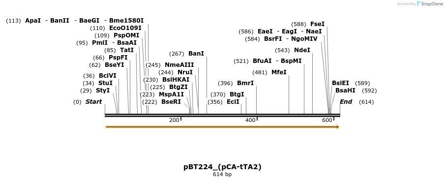 48072_map