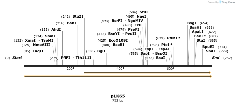 48075_map