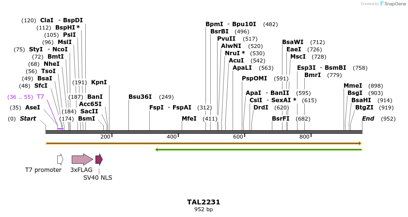 48076_map