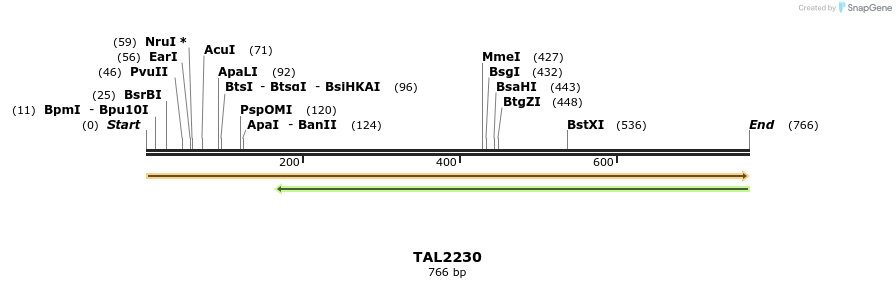 48079_map