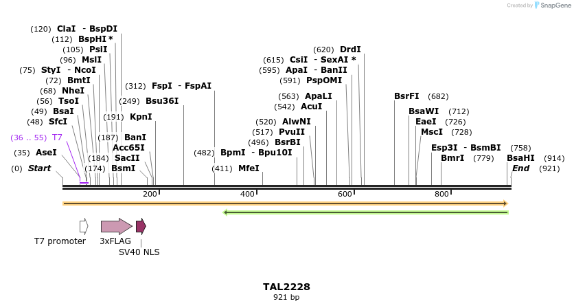 48081_map