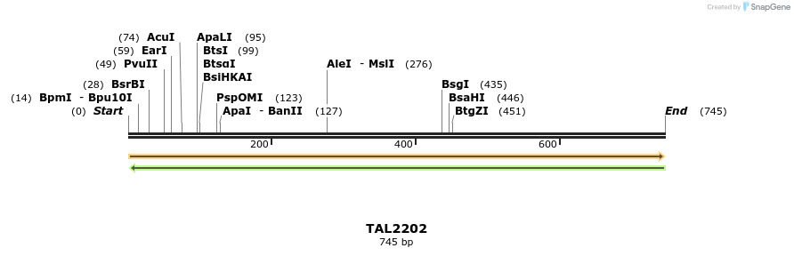 48084_map