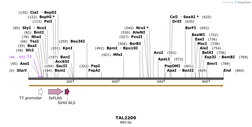 48085_map