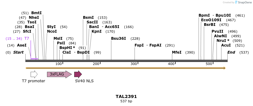 48098_map