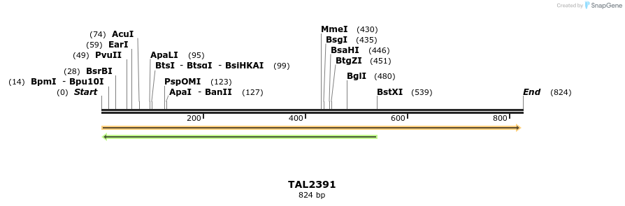 48099_map