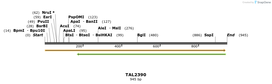 48101_map