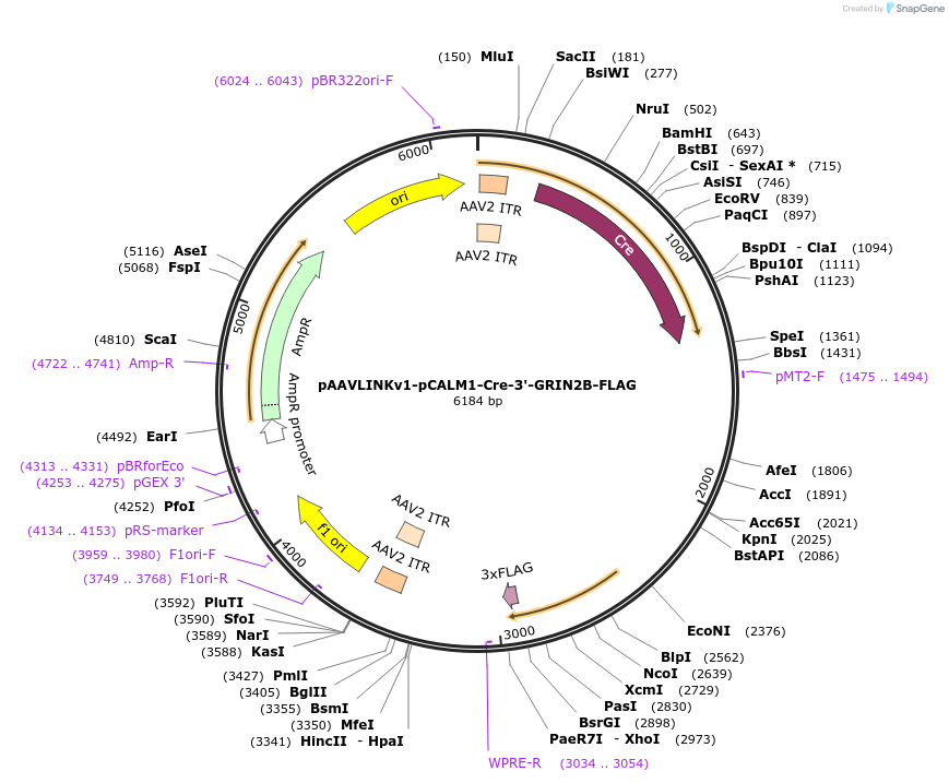 481012_map