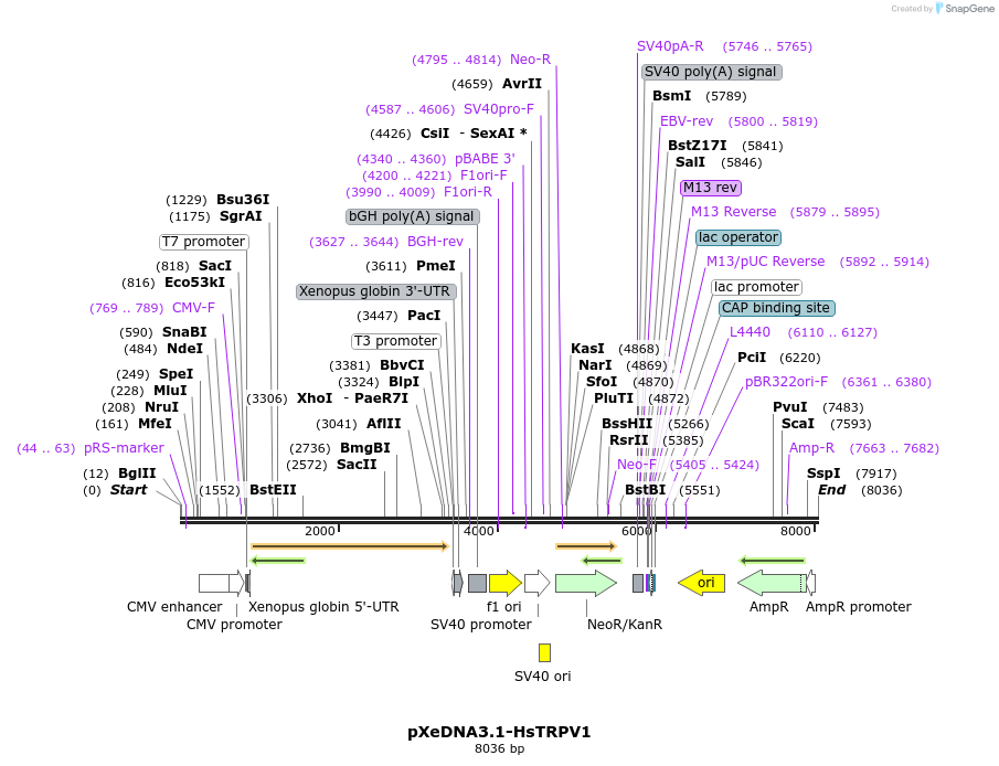 481072_map