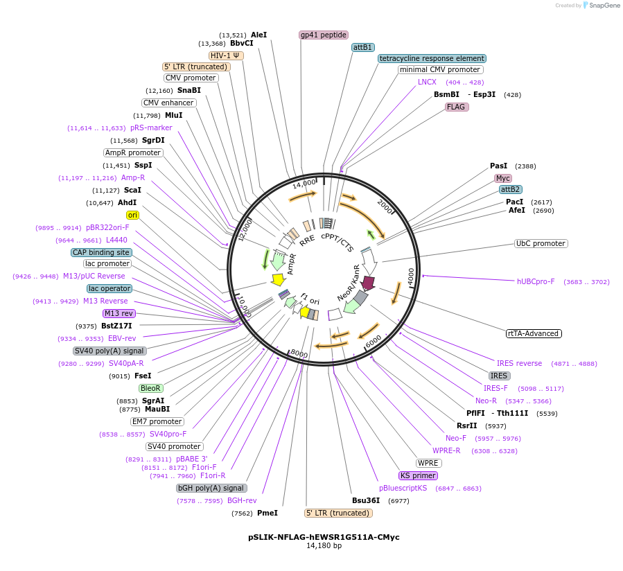 481096_map