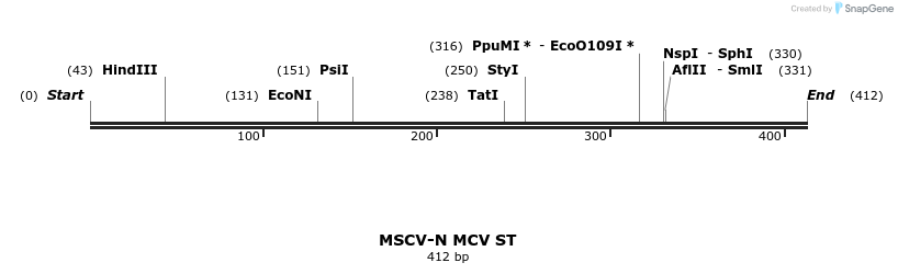 48110_map