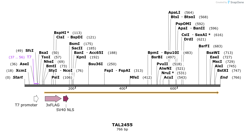 48118_map
