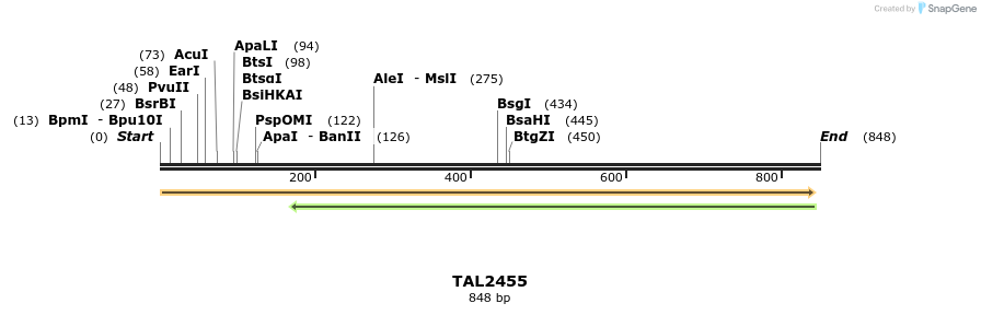 48119_map