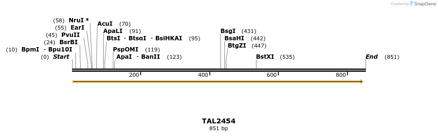 48121_map