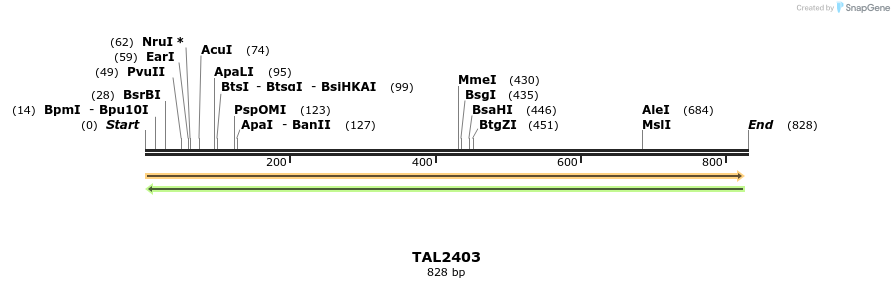 48132_map