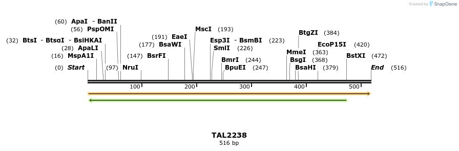 48136_map