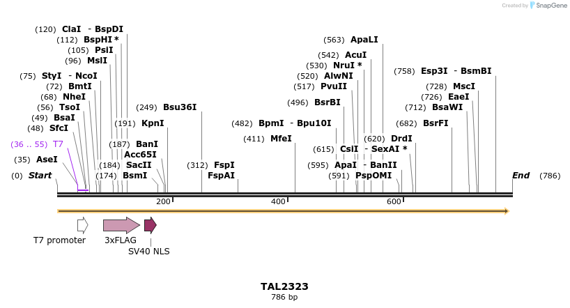 48137_map