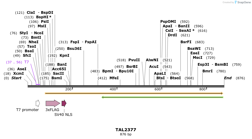 48141_map