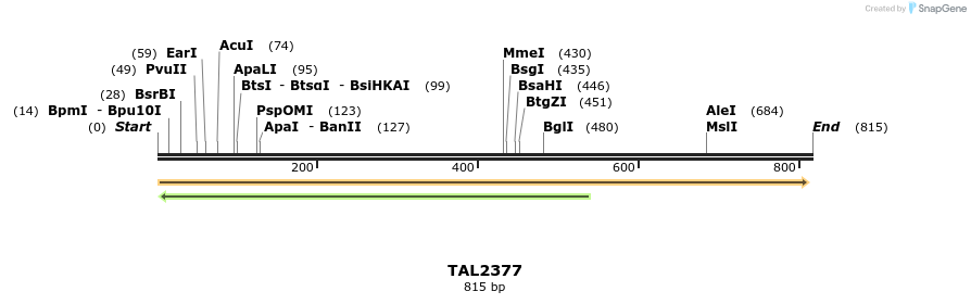 48142_map