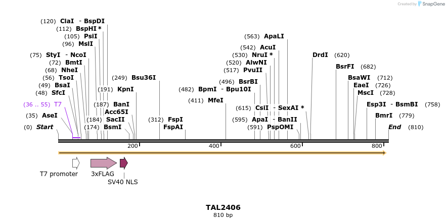 48143_map