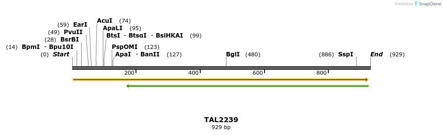 48147_map