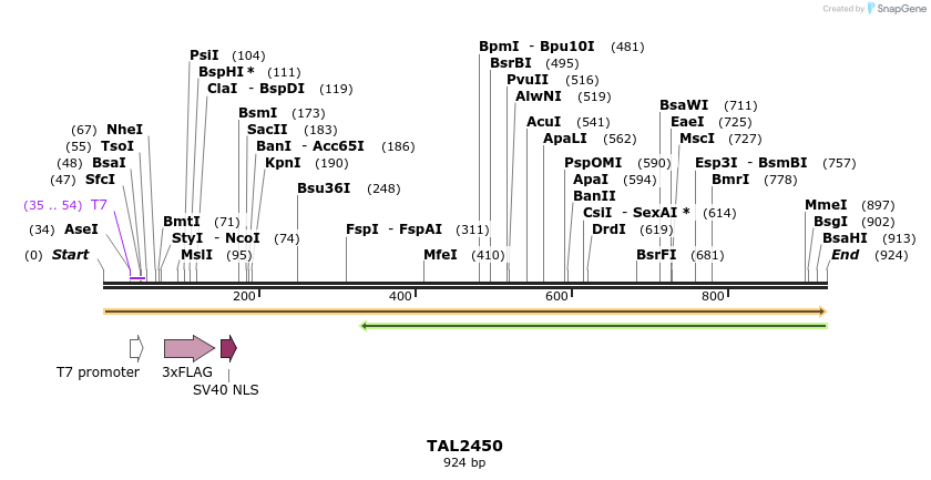 48148_map