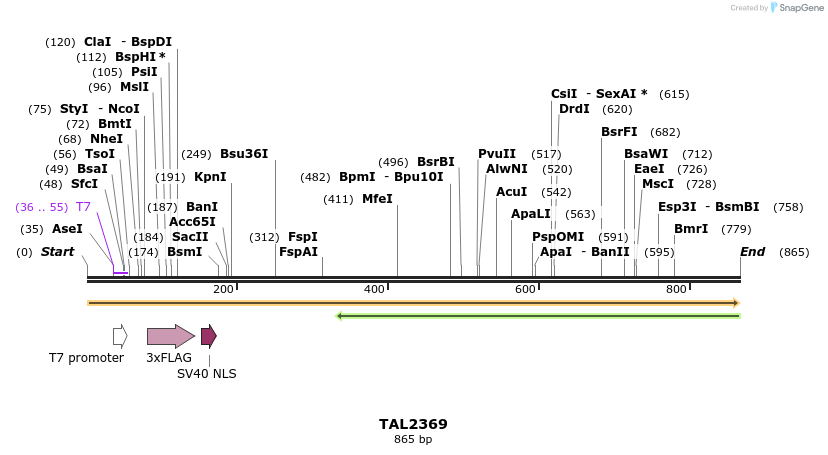 48150_map