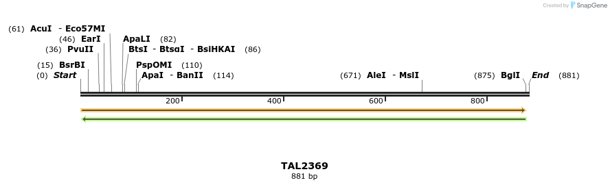 48151_map