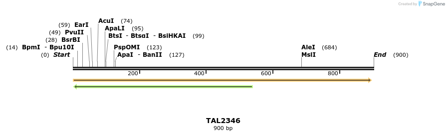 48158_map