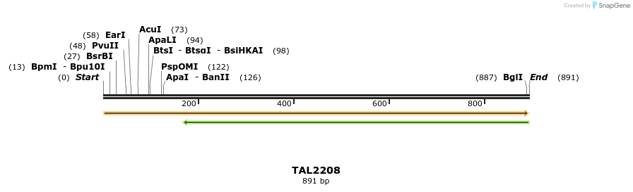48162_map