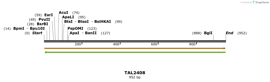 48165_map