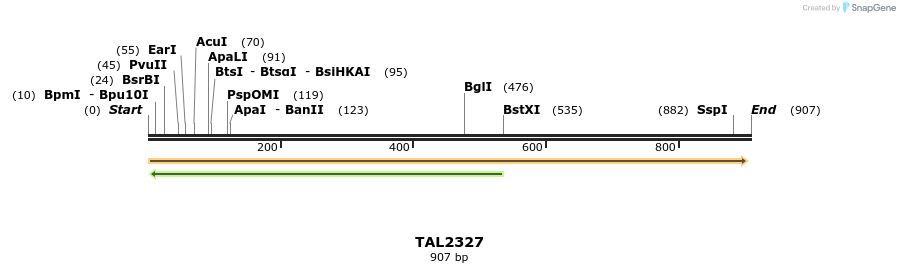 48170_map