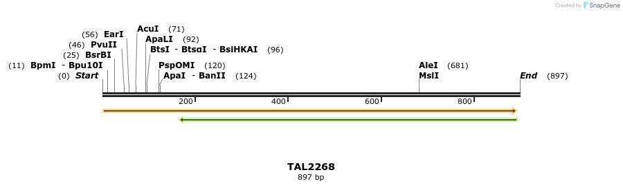 48172_map